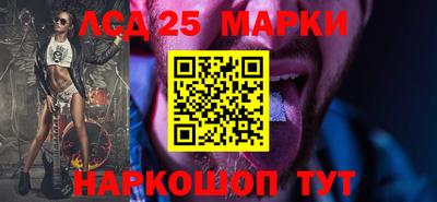 гашик Будённовск