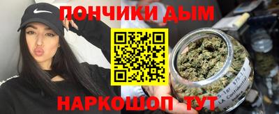 гашик Будённовск