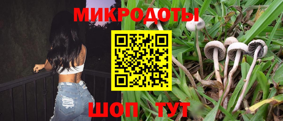 Галлюциногенные грибы GOLDEN TEACHER Красноперекопск