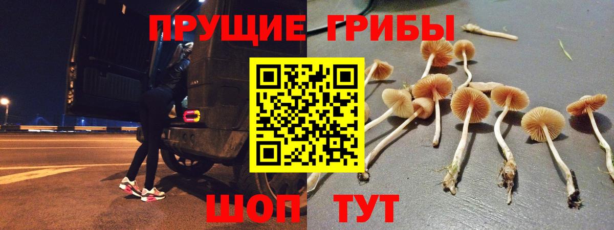 Галлюциногенные грибы Magic Shrooms  Вход с VPN  магазин  наркотиков  Красноперекопск 